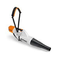 Harness with carrying strap